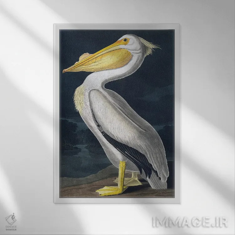 تابلو دکوراتیو پلیکان اثر اینکادو - نمای قابدار سفید