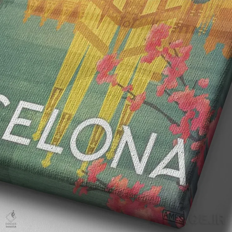 تابلو دکوراتیو اسپانیا-بارسلونا اثر میسی ایمز - نمای نزدیک بافت بوم