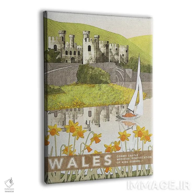 تابلو دکوراتیو ولز-کانوی اثر میسی ایمز - نمای پرسپکتیو محصول