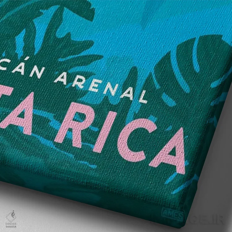 تابلو دکوراتیو کاستاریکا-آرنال اثر میسی ایمز - نمای نزدیک بافت بوم