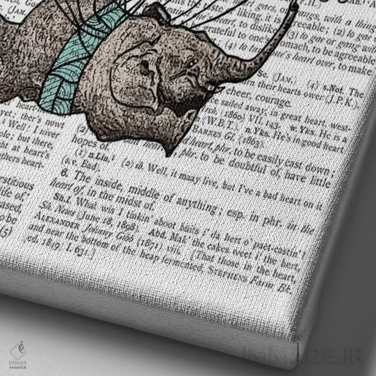 تابلو دکوراتیو بالون پرنده اثر این د فریم شاپ - نمای نزدیک بافت بوم