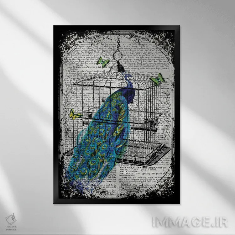 تابلو دکوراتیو یک طاووس در قفس پرنده اثر این د فریم شاپ - نمای قابدار مشکی