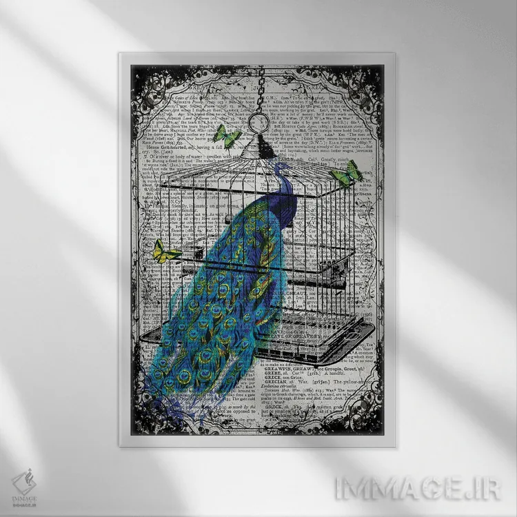 تابلو دکوراتیو یک طاووس در قفس پرنده اثر این د فریم شاپ - نمای قابدار سفید