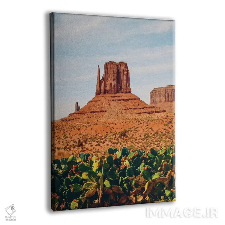 تابلو دکوراتیو یک زمین باز با کاکتوس در صحرای تگزاس اثر ایوجنیا بیدیوک - نمای پرسپکتیو محصول