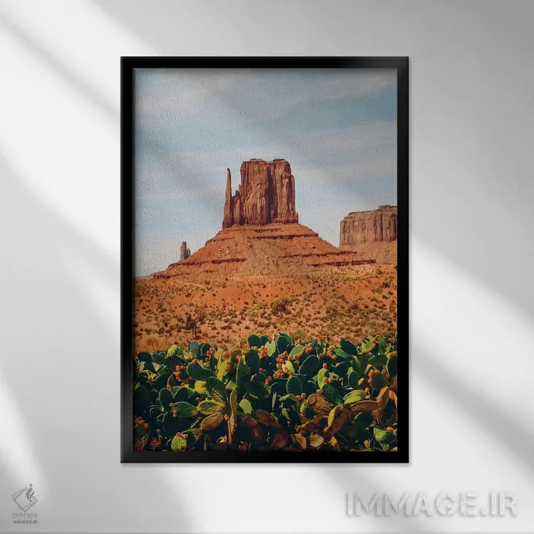 تابلو دکوراتیو یک زمین باز با کاکتوس در صحرای تگزاس اثر ایوجنیا بیدیوک - نمای قابدار مشکی