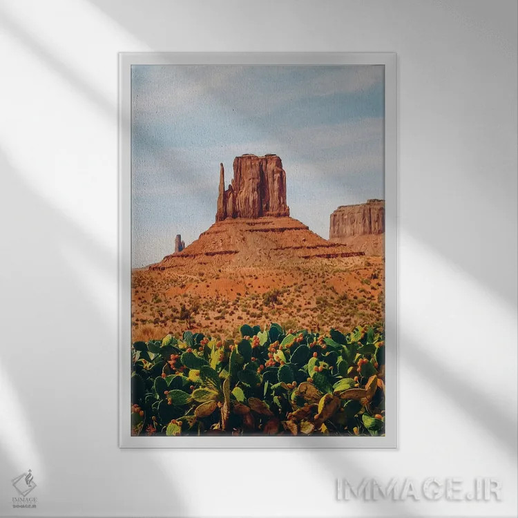 تابلو دکوراتیو یک زمین باز با کاکتوس در صحرای تگزاس اثر ایوجنیا بیدیوک - نمای قابدار سفید