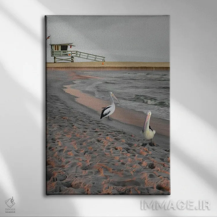 تابلو دکوراتیو دو پلیکان روی ساحل شنی در غروب آفتاب اثر ایوجنیا بیدیوک - نمای روبهرو روی دیوار