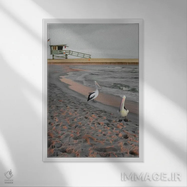 تابلو دکوراتیو دو پلیکان روی ساحل شنی در غروب آفتاب اثر ایوجنیا بیدیوک - نمای قابدار سفید