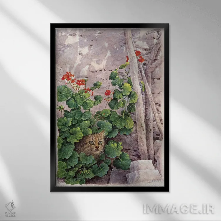 تابلو دکوراتیو کاتیا گربه یونانی در میان شمعدانی ها اثر آیوری کتس - نمای قابدار مشکی