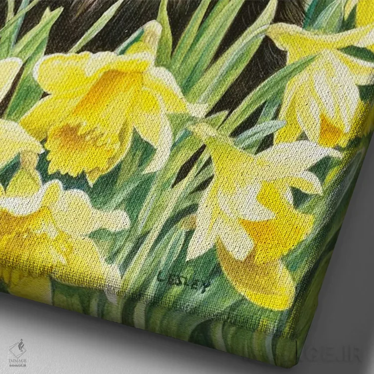 تابلو دکوراتیو ماتلی در بین نرگس های وحشی اثر آیوری کتس - نمای نزدیک بافت بوم