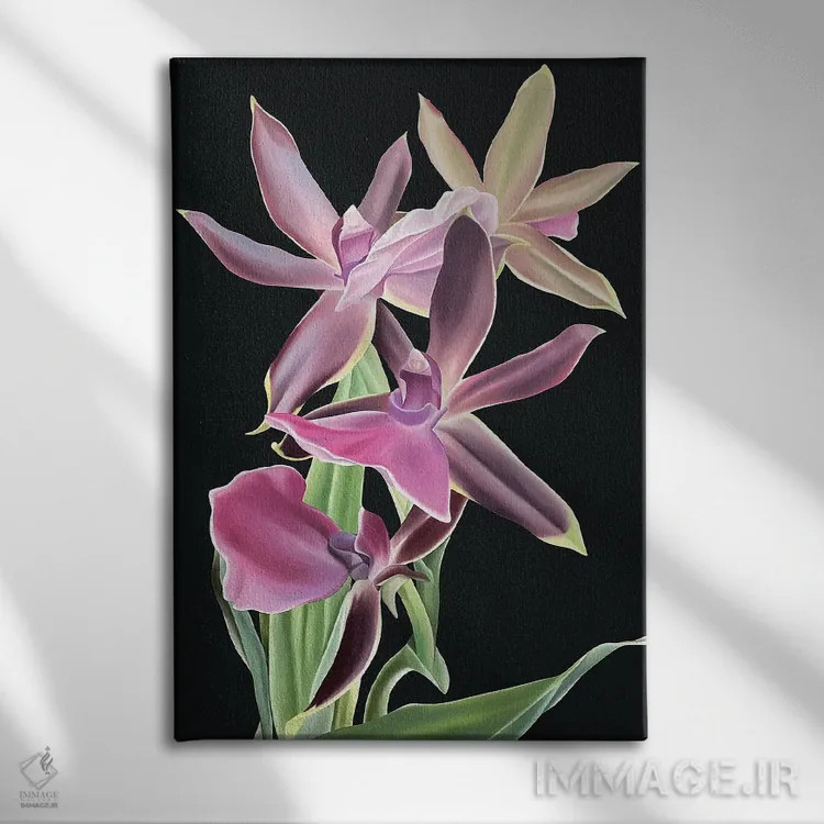 تابلو دکوراتیو مخمل سلطنتی اثر ایلدزه اوس - نمای روبهرو روی دیوار