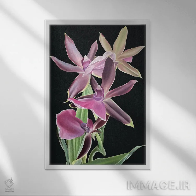 تابلو دکوراتیو مخمل سلطنتی اثر ایلدزه اوس - نمای قابدار سفید