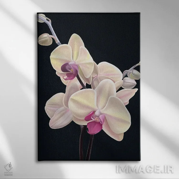 تابلو دکوراتیو هلو ناملموس اثر ایلدزه اوس - نمای روبهرو روی دیوار