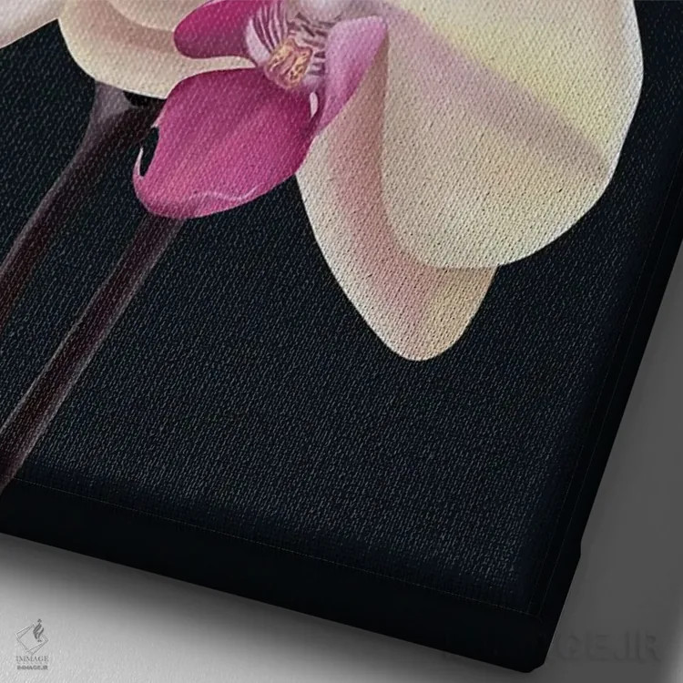 تابلو دکوراتیو هلو ناملموس اثر ایلدزه اوس - نمای نزدیک بافت بوم