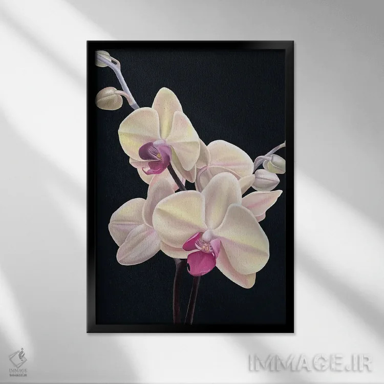 تابلو دکوراتیو هلو ناملموس اثر ایلدزه اوس - نمای قابدار مشکی