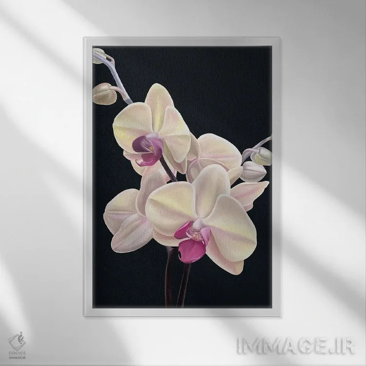 تابلو دکوراتیو هلو ناملموس اثر ایلدزه اوس - نمای قابدار سفید