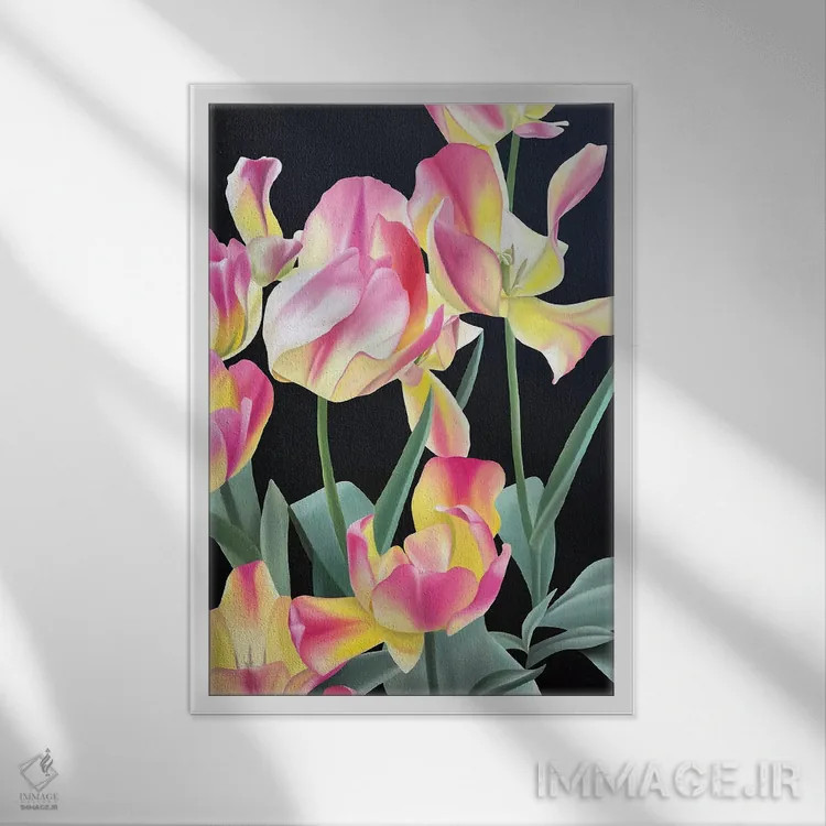 تابلو دکوراتیو گیرنده آفتاب اثر ایلدزه اوس - نمای قابدار سفید