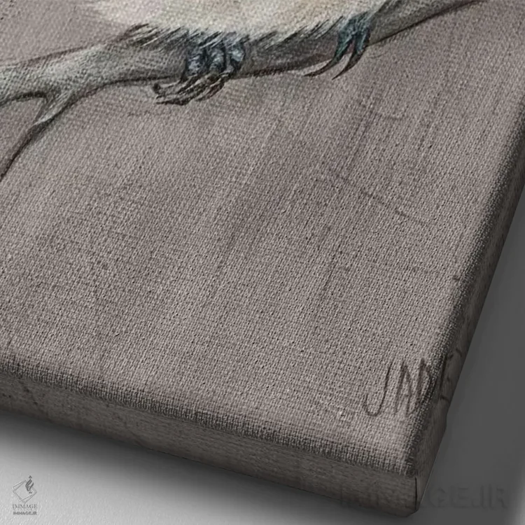 تابلو دکوراتیو پرنده زمستانی I اثر جید رینولدز - نمای نزدیک بافت بوم