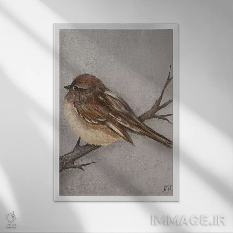 تابلو دکوراتیو پرنده زمستانی III اثر جید رینولدز - نمای قابدار سفید