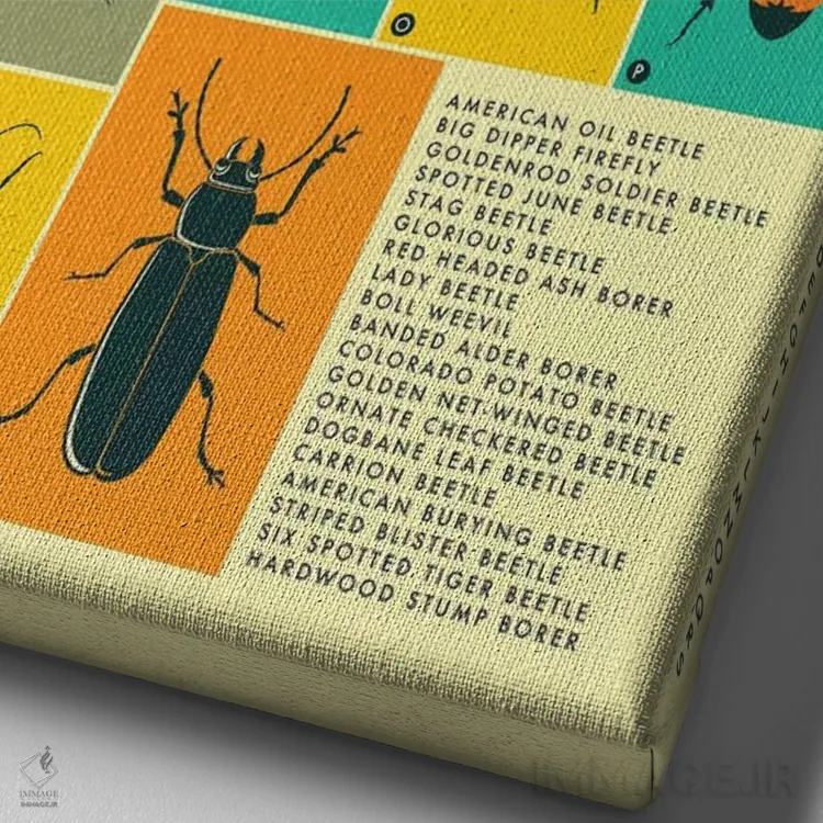 تابلو دکوراتیو سوسک های رایج آمریکای شمالی اثر جازبری بلو - نمای نزدیک بافت بوم