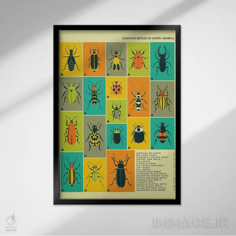 تابلو دکوراتیو سوسک های رایج آمریکای شمالی اثر جازبری بلو - نمای قابدار مشکی