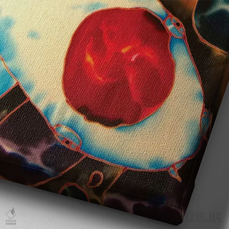 تابلو دکوراتیو کوی ژاپنی اثر دنیل ژان-باپتیست - نمای نزدیک بافت بوم