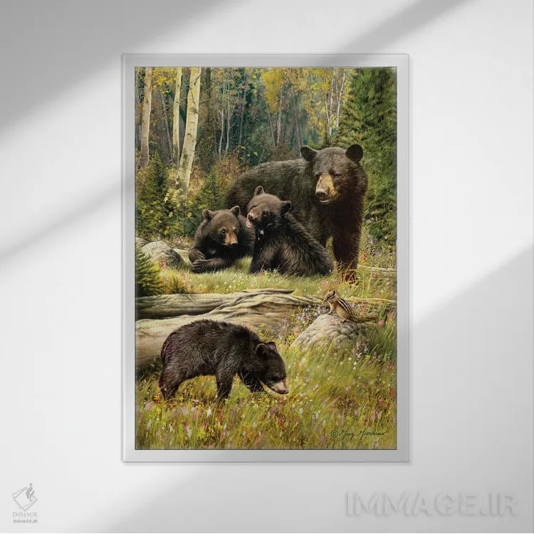 تابلو دکوراتیو خانواده خرس سیاه اثر گرگ جوردانو - نمای قابدار سفید