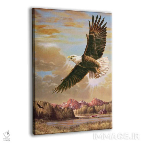 تابلو دکوراتیو در اوج - عقاب اثر گرگ جوردانو - نمای پرسپکتیو محصول