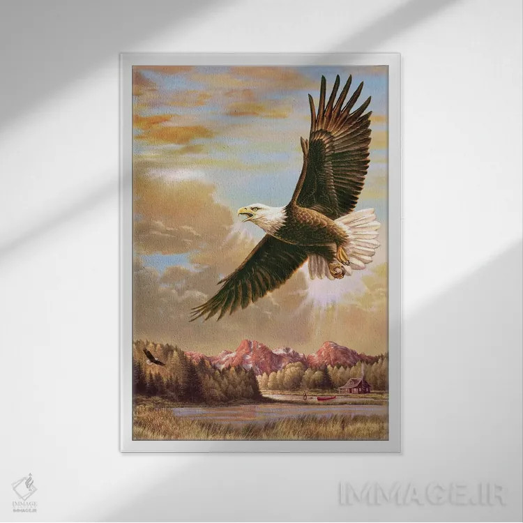 تابلو دکوراتیو در اوج - عقاب اثر گرگ جوردانو - نمای قابدار سفید