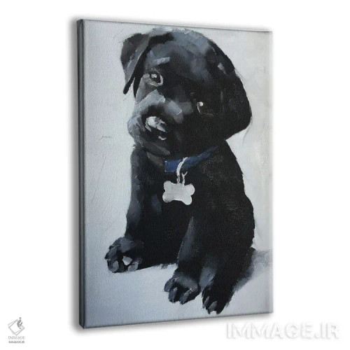 تابلو دکوراتیو توله سگ لابرادور سیاه اثر جیمز کوتز - نمای پرسپکتیو محصول