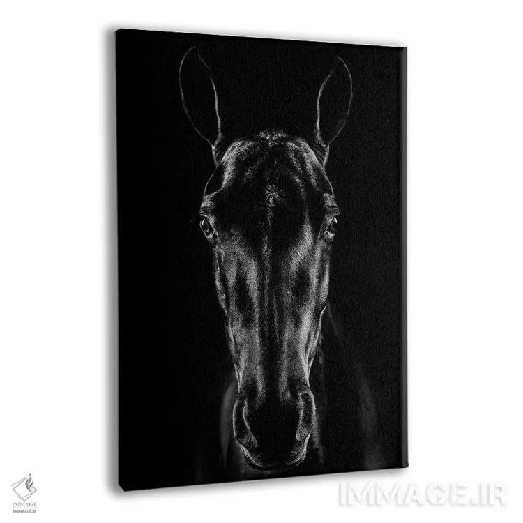 تابلو دکوراتیو اسب در فضای نوآر اثر جکسون کاروالیو - نمای پرسپکتیو محصول