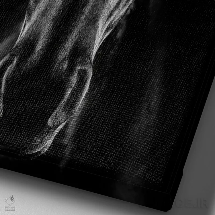 تابلو دکوراتیو اسب در فضای نوآر اثر جکسون کاروالیو - نمای نزدیک بافت بوم