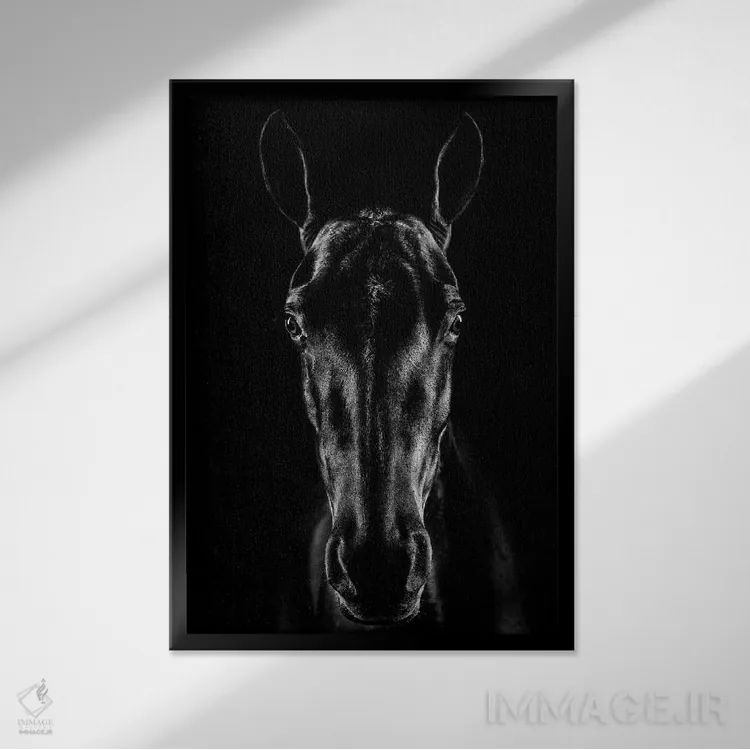 تابلو دکوراتیو اسب در فضای نوآر اثر جکسون کاروالیو - نمای قابدار مشکی