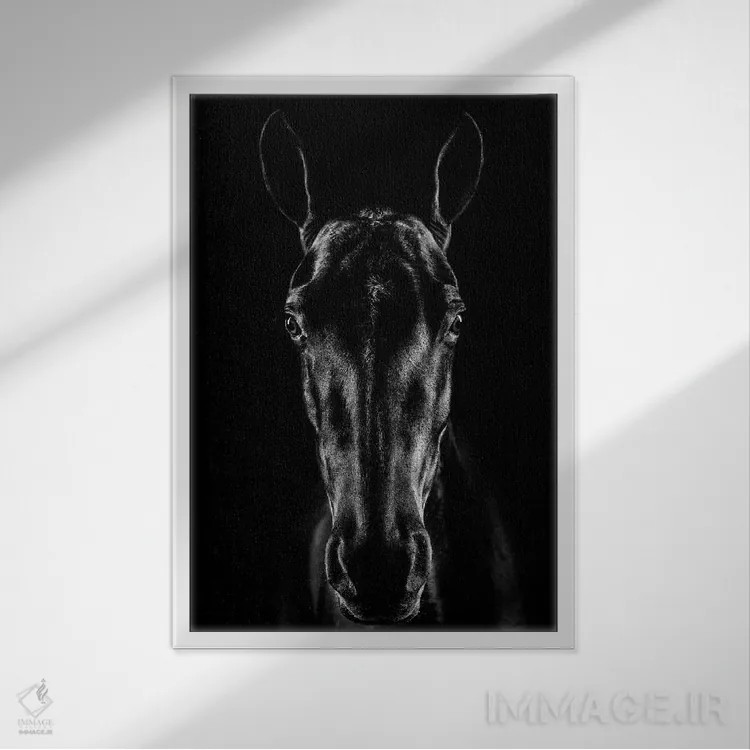 تابلو دکوراتیو اسب در فضای نوآر اثر جکسون کاروالیو - نمای قابدار سفید