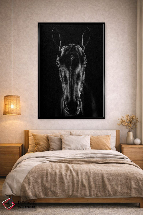 تابلو دکوراتیو اسب در فضای نوآر اثر جکسون کاروالیو - D2B