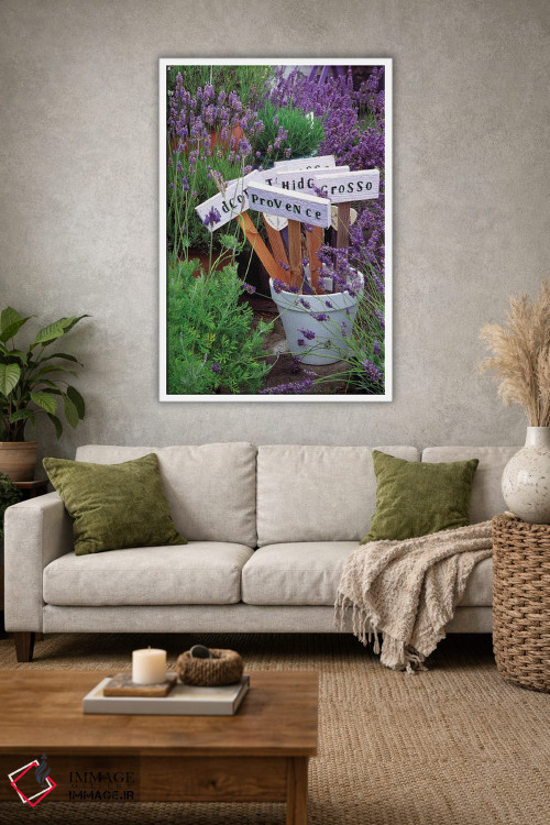 تابلو دکوراتیو انواع اسطوخودوس در گلدان اثر جنل دیویدسون - D1W