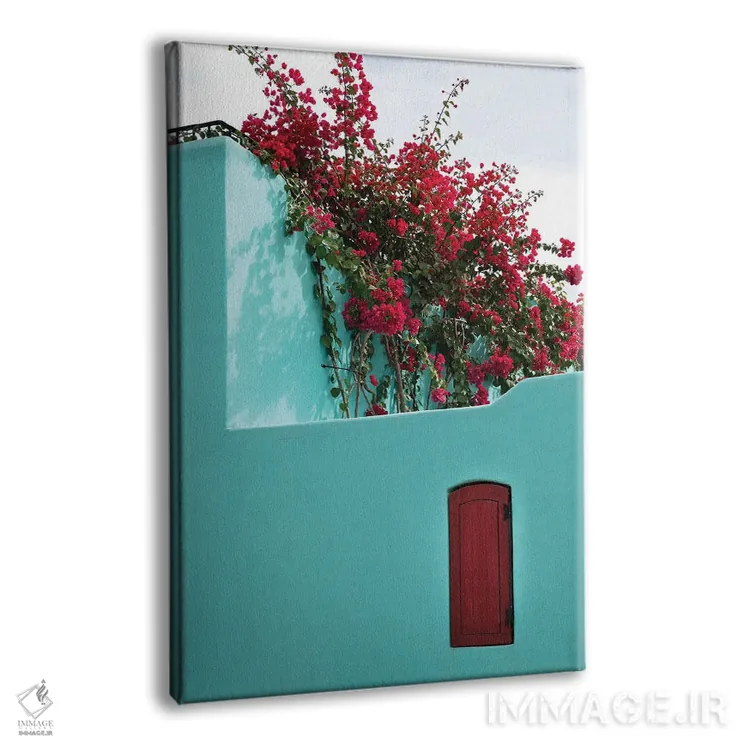 تابلو دکوراتیو Baja California Sur. Loreto Bay, Colorful Home And Climbin… اثر جنل دیویدسون - نمای پرسپکتیو محصول