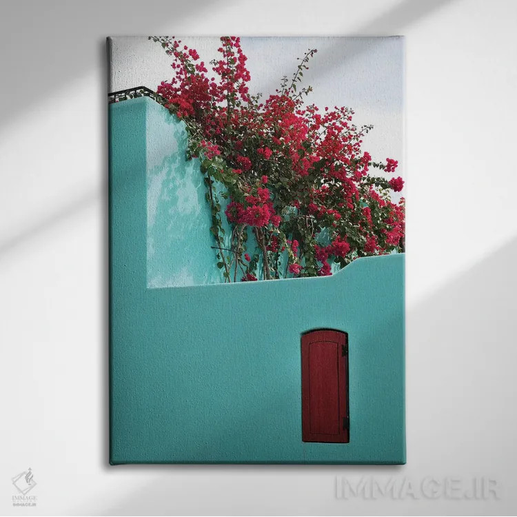 تابلو دکوراتیو Baja California Sur. Loreto Bay, Colorful Home And Climbin… اثر جنل دیویدسون - نمای روبهرو روی دیوار