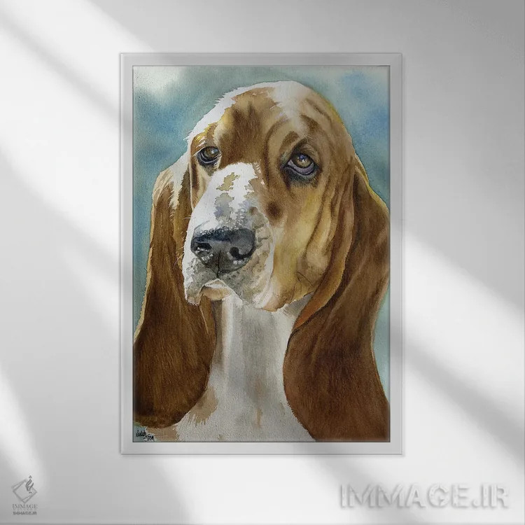 تابلو دکوراتیو کم پیدا اثر جودیت استاین - نمای قابدار سفید