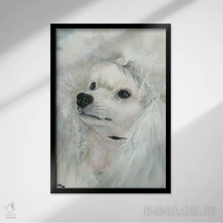 تابلو دکوراتیو سگ نازپرورده اثر جودیت استاین - نمای قابدار مشکی