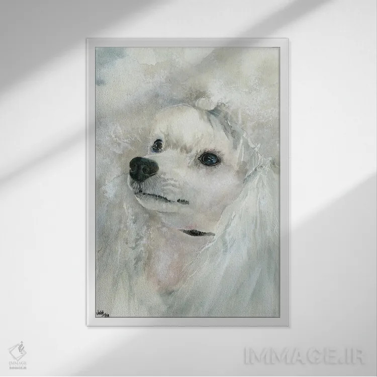 تابلو دکوراتیو سگ نازپرورده اثر جودیت استاین - نمای قابدار سفید