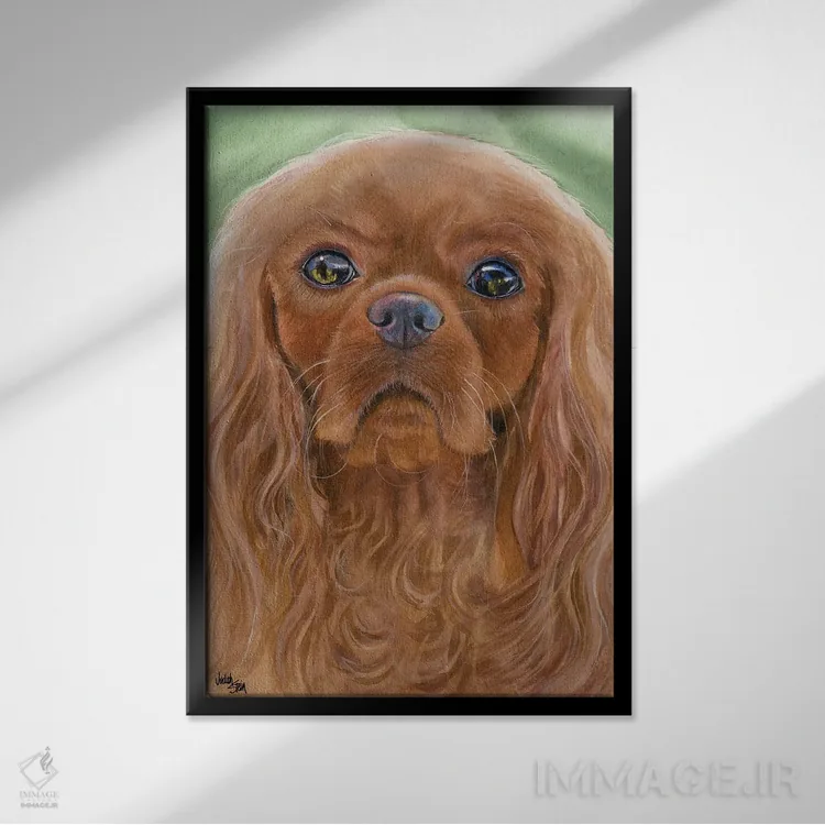 تابلو دکوراتیو کفش های یاقوتی اثر جودیت استاین - نمای قابدار مشکی