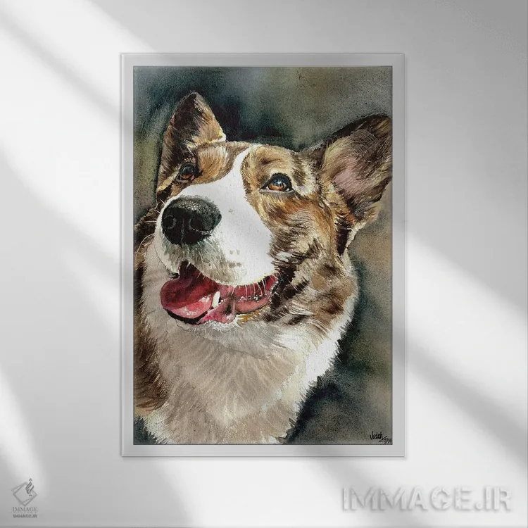 تابلو دکوراتیو ولش کورگی اثر جودیت استاین - نمای قابدار سفید