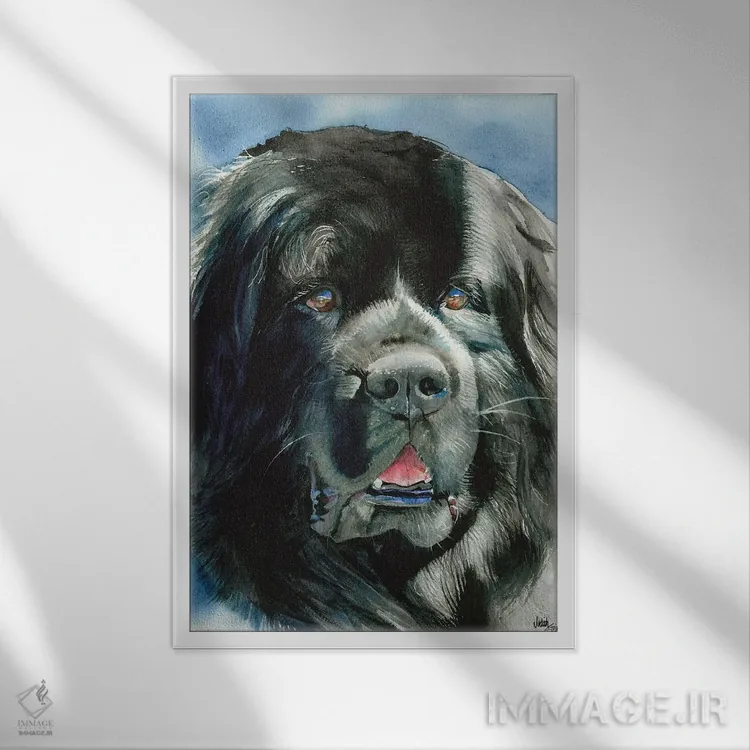 تابلو دکوراتیو چه خبر نیوفی اثر جودیت استاین - نمای قابدار سفید