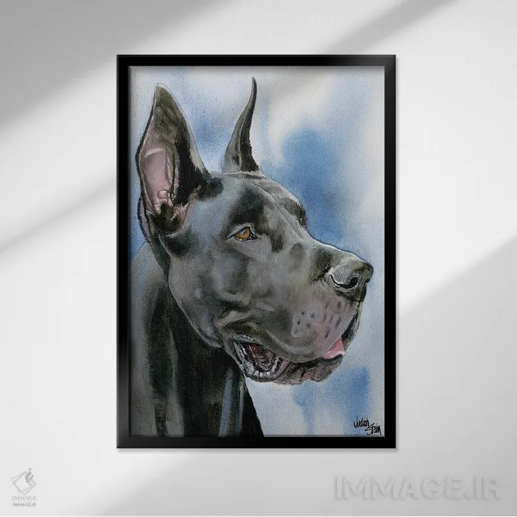 تابلو دکوراتیو دانمارکی بزرگ اثر جودیت استاین - نمای قابدار مشکی