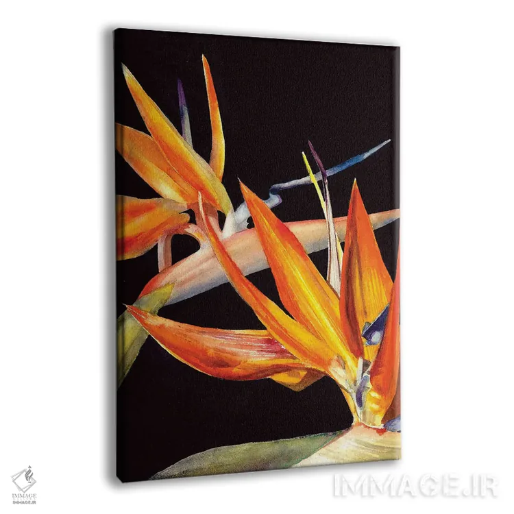 تابلو دکوراتیو پرنده بهشت اثر جودیت استاین - نمای پرسپکتیو محصول