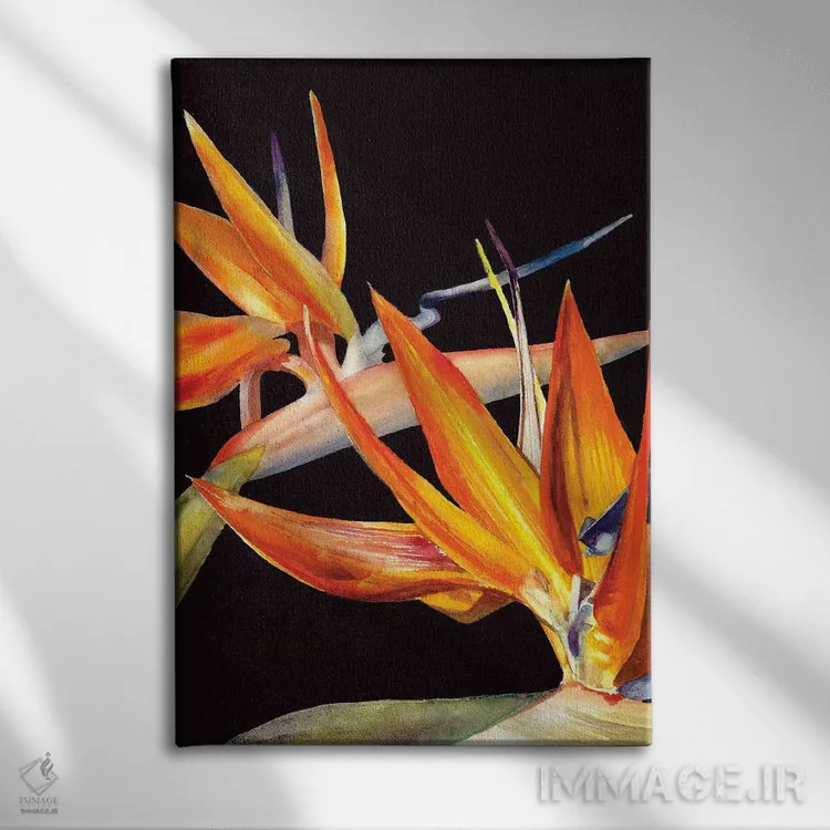 تابلو دکوراتیو پرنده بهشت اثر جودیت استاین - نمای روبهرو روی دیوار