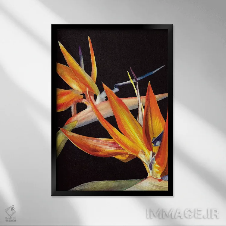 تابلو دکوراتیو پرنده بهشت اثر جودیت استاین - نمای قابدار مشکی