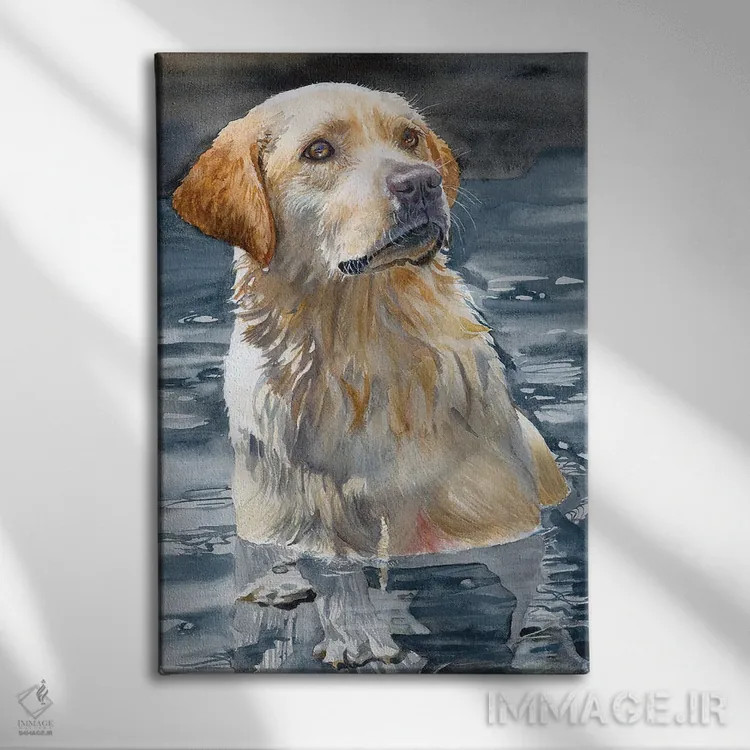 تابلو دکوراتیو بیلی اثر جودیت استاین - نمای روبهرو روی دیوار