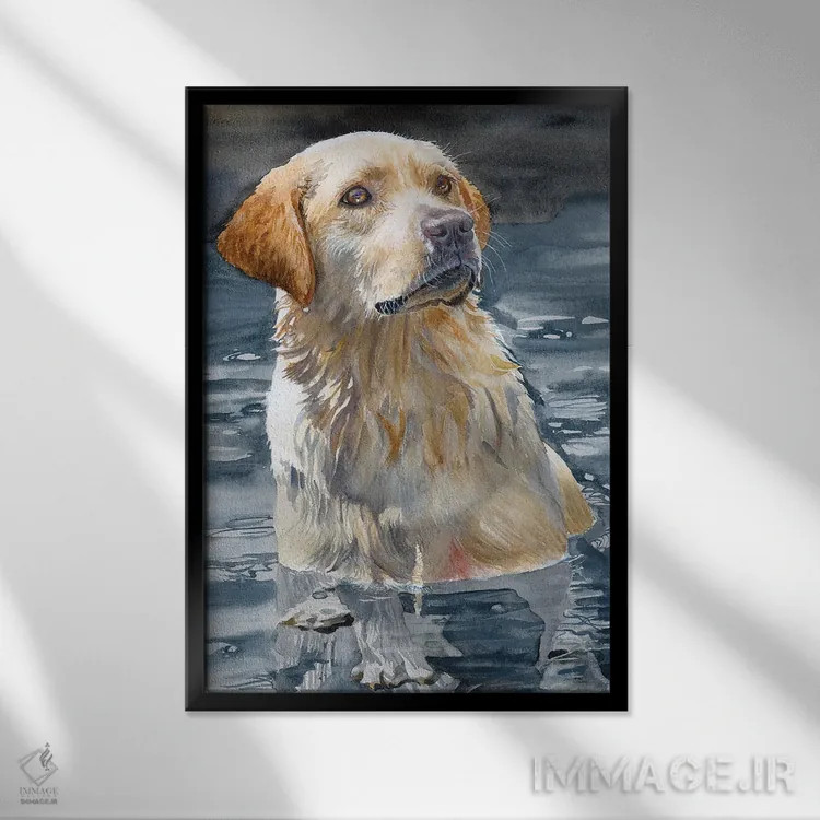 تابلو دکوراتیو بیلی اثر جودیت استاین - نمای قابدار مشکی